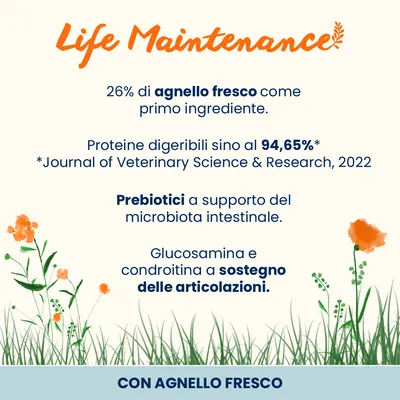 Almo Nature Life Maintenance Large Adult Agnello & Riso