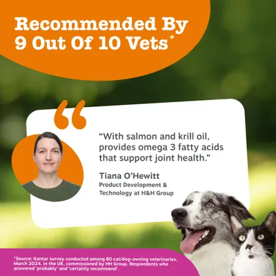 Zesty Paws Hip & Joint Salmon Oil Formula - 250ml Zesty Paws Hip & Joint Salmon Oil Formula - 250ml