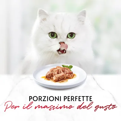 Porzioni perfette. Per il massimo del gusto. Piattino con bocconcini di cibo umido su sfondo chiaro, testo promozionale visibile in basso.