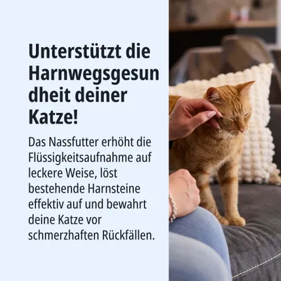 Unterstützt die Harnwegsgesundheit deiner Katze. Nassfutter erhöht Flüssigkeitsaufnahme, löst Harnsteine und bewahrt vor Rückfällen.