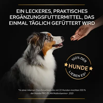 Ergänzungsfuttermittel für Hunde, einmal täglich füttern. 100% der Hunde lieben es laut interner Studie mit 22 Hunden zu PRO PLAN Multivitamins+, 2021.