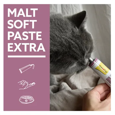 MALT SOFT PASTE EXTRA. Katze leckt Paste direkt aus Tube, Hand hält Tube. Symbole zeigen Anwendung: Tube ausdrücken, Paste auf Finger oder ins Futter geben.
