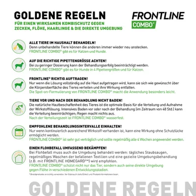 Goldene Regeln für wirksamen Kombischutz gegen Zecken, Flöhe, Haarlinge: alle Tiere behandeln, richtige Pipettengröße wählen, richtig auftragen, nicht baden, Intervalle einhalten, Umgebung bekämpfen.