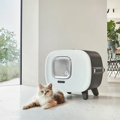 Modern cat house with white door and paw motif, next to a lying cat. Suitable for indoor use.