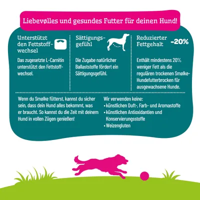 Liebevolles und gesundes Futter für deinen Hund: unterstützt Fettstoffwechsel, Sättigungsgefühl, 20% weniger Fett, ohne künstliche Zusatzstoffe und Weizengluten.
