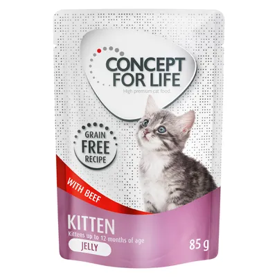 Concept for Life Kitten, recette sans céréales, au bœuf, pour chatons jusqu’à 12 mois, jelly, sachet de 85 g. Texte en anglais visible sur l’emballage.
