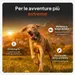 Localizzatore GPS per cani Weenect XT - con collare