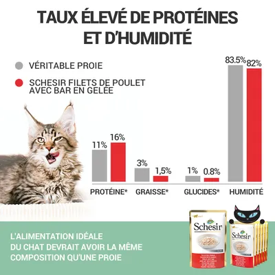Graphique comparatif protéines, graisses, glucides et humidité : véritable proie vs Schesir filets de poulet avec bar en gelée. Taux visibles : protéines 11–16 %, humidité 83,5–82 %.