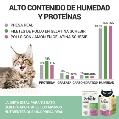 Gráfico comparativo de proteína, grasas, carbohidratos y humedad entre presa real, filetes de pollo en gelatina Schesir y pollo con jamón en gelatina Schesir. Texto: dieta ideal para tu gato.