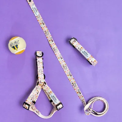 Set aus Hundegeschirr, Leine und Halsband mit buntem Blumenmuster. Tennisball mit gelben und weissen Streifen im Hintergrund.