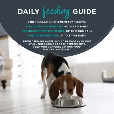 Encore Dog Tin Chicken Selection