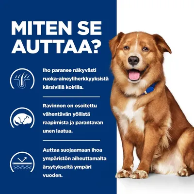Iho paranee näkyvästi ruoka-aineyliherkkyyksistä kärsivillä koirilla. Ravinnon on osoitettu vähentävän yöllistä raapimista ja parantavan unen laatua. Auttaa suojaamaan ihoa ympäristön aiheuttamalta ärsytykseltä ympäri vuoden. Iho paranee näkyvästi ruoka-aineyliherkkyyksistä kärsivillä koirilla. Ravinnon on osoitettu vähentävän yöllistä raapimista ja parantavan unen laatua. Auttaa suojaamaan ihoa ympäristön aiheuttamalta ärsytykseltä ympäri vuoden.