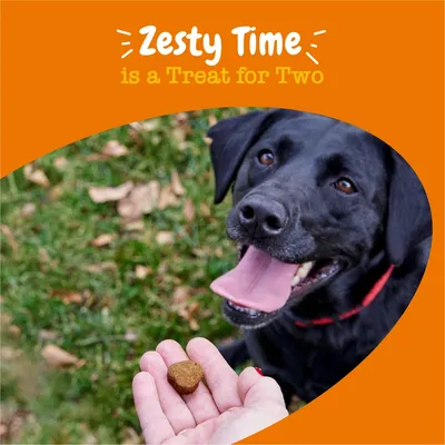 Zesty Paws Probiotic Chews Digestion - Pumpkin - 90 Chews Zesty Paws Probiotic Chews Digestion - Pumpkin - 90 Chews