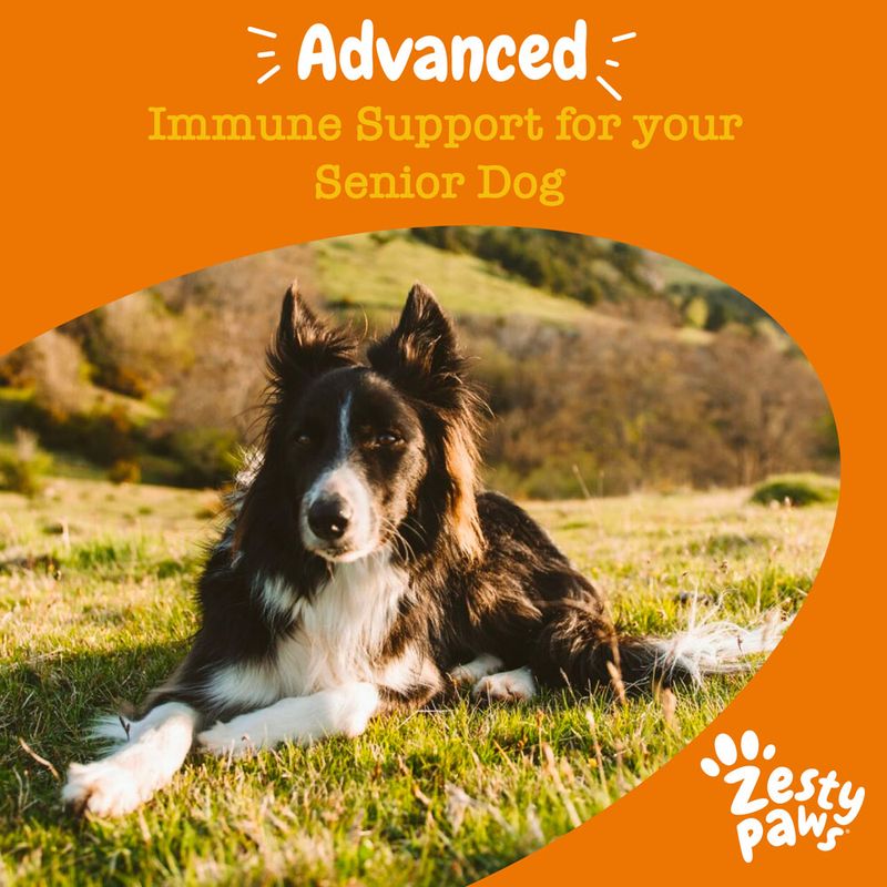 Zesty Paws Senior Allergy & Immunity Laks
