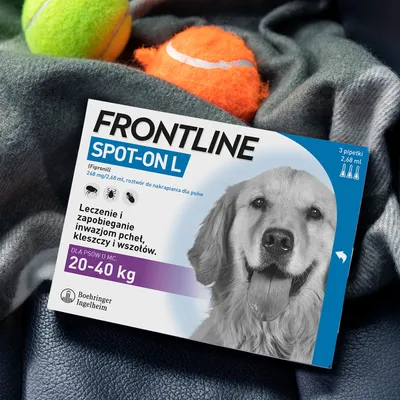 FRONTLINE SPOT-ON L, 268 mg/2,68 ml, roztwór do nakrapiania dla psów 20–40 kg. Leczenie i zapobieganie inwazjom pcheł, kleszczy i wszołów. 3 pipetki. Boehringer Ingelheim.