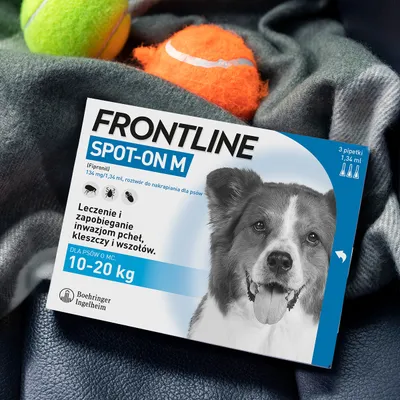 Opakowanie Frontline Spot-On M dla psów 10–20 kg, leczenie i zapobieganie inwazjom pcheł, kleszczy i wszołów, 3 pipetki po 1,34 ml, Boehringer Ingelheim.