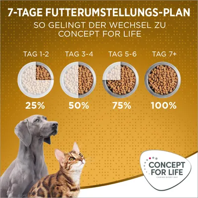 7-Tage-Futterumstellungs-Plan für Concept for Life: Tag 1-2 25%, Tag 3-4 50%, Tag 5-6 75%, Tag 7+ 100%. Hund und Katze abgebildet. Concept for Life Logo unten rechts.