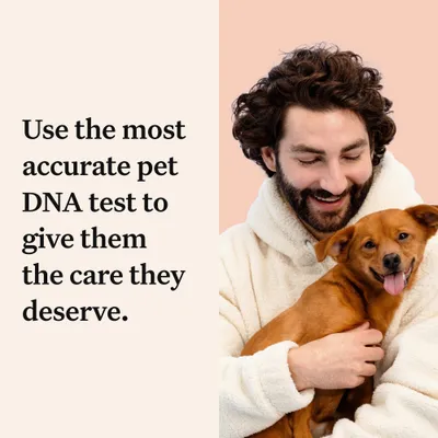 Text reads: Use the most accurate pet DNA test to give them the care they deserve. Person holding a small brown dog.