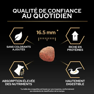 Taille des croquettes 16,5 mm, sans colorants, riche en protéines, absorption élevée des nutriments, facilement digestible. Qualité de confiance au quotidien.