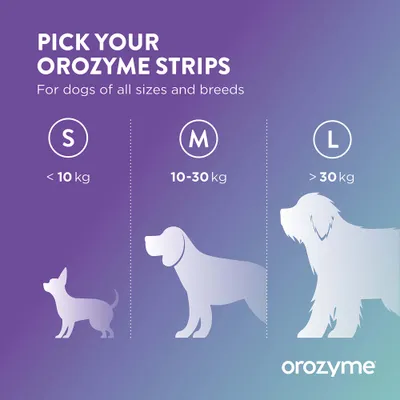 Größenauswahl für Orozyme Strips: S unter 10 kg, M 10-30 kg, L über 30 kg. Für Hunde aller Größen und Rassen. Größenauswahl für Orozyme Strips: S unter 10 kg, M 10-30 kg, L über 30 kg. Für Hunde aller Größen und Rassen.