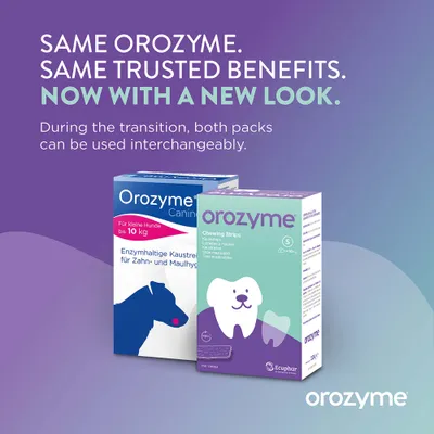 Orozyme Kaustreifen für Hunde, neues und altes Verpackungsdesign. Beide Packungen können während der Umstellung verwendet werden. Enzymhaltige Kaustreifen für Zahn- und Maulhygiene. Orozyme Kaustreifen für Hunde, neues und altes Verpackungsdesign. Beide Packungen können während der Umstellung verwendet werden. Enzymhaltige Kaustreifen für Zahn- und Maulhygiene.