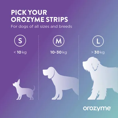 Orozyme trakovi: velikost S za manj kot 10 kg, M za 10–30 kg, L za več kot 30 kg. Primerno za pse vseh velikosti in pasem. Orozyme trakovi: velikost S za manj kot 10 kg, M za 10–30 kg, L za več kot 30 kg. Primerno za pse vseh velikosti in pasem.