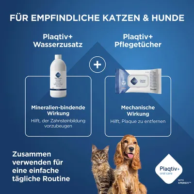 Plaqitv+ Wasserzusatz und Pflegetücher für empfindliche Katzen und Hunde. Mineralien-bindende und mechanische Wirkung, zusammen für einfache tägliche Routine verwenden. Plaqitv+ Wasserzusatz und Pflegetücher für empfindliche Katzen und Hunde. Mineralien-bindende und mechanische Wirkung, zusammen für einfache tägliche Routine verwenden.