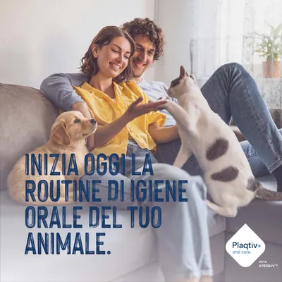 Inizia oggi la routine di igiene orale del tuo animale. Plaqtiv+ oral care con XPERSIV. Inizia oggi la routine di igiene orale del tuo animale. Plaqtiv+ oral care con XPERSIV.