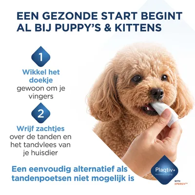 Instructie: Wikkel het doekje om uw vingers en wrijf voorzichtig over de tanden en het tandvlees van uw huisdier. Eenvoudig alternatief product voor gebitsverzorging. Instructie: Wikkel het doekje om uw vingers en wrijf voorzichtig over de tanden en het tandvlees van uw huisdier. Eenvoudig alternatief product voor gebitsverzorging.