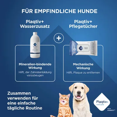 Plaqitv+ Wasserzusatz und Pflegetücher für empfindliche Hunde. Mineralien-bindende Wirkung gegen Zahnstein, mechanische Wirkung zur Plaque-Entfernung. Für einfache tägliche Routine. Plaqitv+ Wasserzusatz und Pflegetücher für empfindliche Hunde. Mineralien-bindende Wirkung gegen Zahnstein, mechanische Wirkung zur Plaque-Entfernung. Für einfache tägliche Routine.