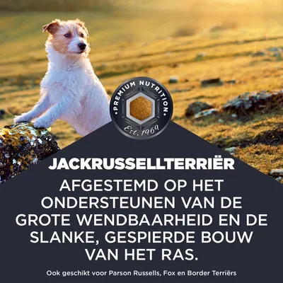 JACKRUSSELLTERRIËR. Afgestemd op de ondersteuning van het grote wendvermogen en de slanke, gespierde lichaamsbouw van het ras. Ook geschikt voor Parson Russells, Fox en Border Terriërs.