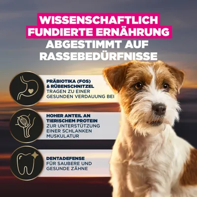 Wissenschaftlich fundierte Ernährung, abgestimmt auf Rassebedürfnisse: Präbiotika und Rübenschnitzel für Verdauung, hoher Anteil an tierischem Protein, Dentadefense für gesunde Zähne. Wissenschaftlich fundierte Ernährung, abgestimmt auf Rassebedürfnisse: Präbiotika und Rübenschnitzel für Verdauung, hoher Anteil an tierischem Protein, Dentadefense für gesunde Zähne.