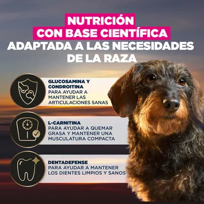 Glucosamina y condroitina para unas articulaciones sanas, L-carnitina para la quema de grasa y una musculatura compacta, Dentadefense para unos dientes limpios y sanos. Glucosamina y condroitina para unas articulaciones sanas, L-carnitina para la quema de grasa y una musculatura compacta, Dentadefense para unos dientes limpios y sanos.
