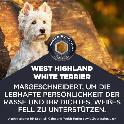 West Highland White Terrier. Maßgeschneidert, um die lebhafte Persönlichkeit der Rasse und ihr dichtes, weißes Fell zu unterstützen. Auch geeignet für Scottish, Cairn und Welsh Terrier sowie Zwergschnauzer.