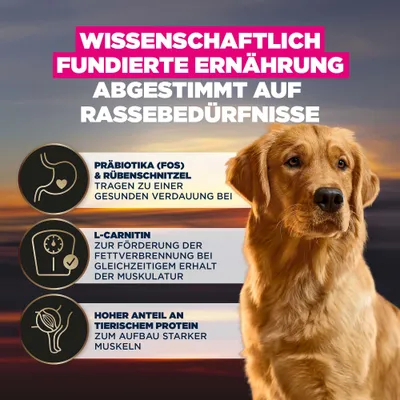 Wissenschaftlich fundierte Ernährung, abgestimmt auf Rassebedürfnisse: Präbiotika und Rübenschnitzel für Verdauung, L-Carnitin für Muskulatur, hoher tierischer Proteinanteil. Wissenschaftlich fundierte Ernährung, abgestimmt auf Rassebedürfnisse: Präbiotika und Rübenschnitzel für Verdauung, L-Carnitin für Muskulatur, hoher tierischer Proteinanteil.