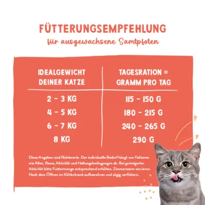 Sanabelle Freshe Mieze 10 x 100 g - Pute & Huhn Sanabelle Freshe Mieze 10 x 100 g - Pute & Huhn