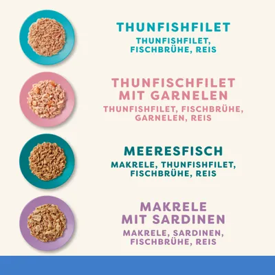 Sparpaket Applaws in Brühe 48 x 70 g - Fischauswahl (4 Varianten) Sparpaket Applaws in Brühe 48 x 70 g - Fischauswahl (4 Varianten)