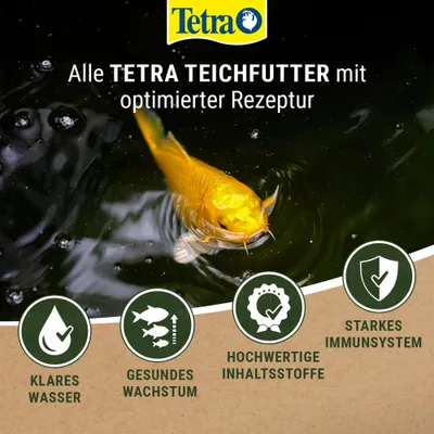 Tetra Teichfutter mit optimierter Rezeptur: Klares Wasser, gesundes Wachstum, hochwertige Inhaltsstoffe, starkes Immunsystem. Tetra Teichfutter mit optimierter Rezeptur: Klares Wasser, gesundes Wachstum, hochwertige Inhaltsstoffe, starkes Immunsystem.