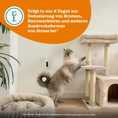 Trägt in nur 2 Tagen zur Reduzierung von Kratzen, Harnmarkieren und anderen Ausdrucksformen von Stress bei. Cat Diffuser, Studie mit 235 Teilnehmern im Juni 2025. Trägt in nur 2 Tagen zur Reduzierung von Kratzen, Harnmarkieren und anderen Ausdrucksformen von Stress bei. Cat Diffuser, Studie mit 235 Teilnehmern im Juni 2025.