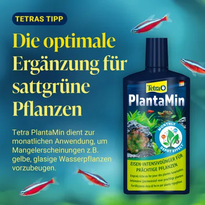 Tetra PlantaMin Eisen-Intensivdünger für prächtige Pflanzen. Monatliche Anwendung beugt Mangelerscheinungen wie gelben, glasigen Wasserpflanzen vor.