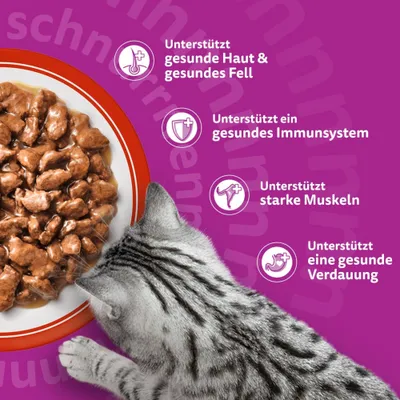 Whiskas 1+ Adult Frischebeutel 40 x 85 g - Klassische Auswahl in Sauce (4 Sorten) Whiskas 1+ Adult Frischebeutel 40 x 85 g - Klassische Auswahl in Sauce (4 Sorten)