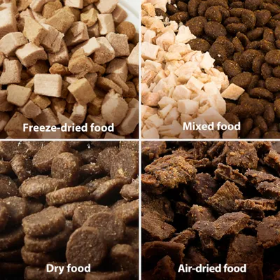 Čtyři druhy krmiva ve srovnání: Freeze-dried food, Mixed food, Dry food a Air-dried food. Každý druh je zobrazen s anglickým označením. Čtyři druhy krmiva ve srovnání: Freeze-dried food, Mixed food, Dry food a Air-dried food. Každý druh je zobrazen s anglickým označením.