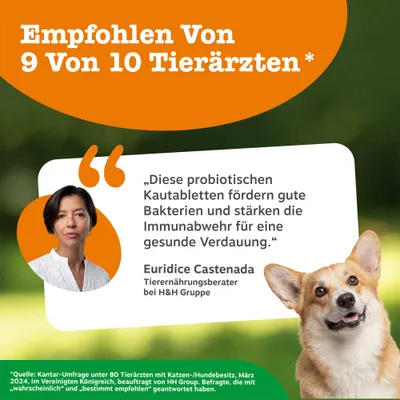 Empfohlen von 9 von 10 Tierärzten. Diese probiotischen Kautabletten fördern gute Bakterien und stärken die Immunabwehr für eine gesunde Verdauung. Quelle: Kantar-Umfrage 2024. Empfohlen von 9 von 10 Tierärzten. Diese probiotischen Kautabletten fördern gute Bakterien und stärken die Immunabwehr für eine gesunde Verdauung. Quelle: Kantar-Umfrage 2024.