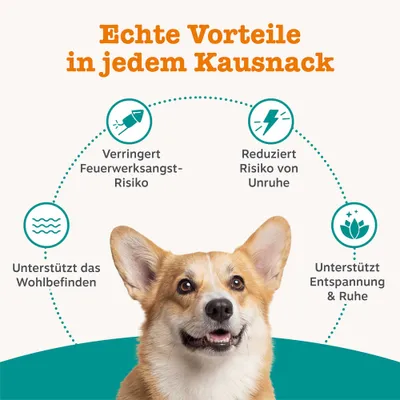 Echte Vorteile in jedem Kausnack: Verringert Feuerwerksangst-Risiko, reduziert Risiko von Unruhe, unterstützt das Wohlbefinden, unterstützt Entspannung und Ruhe. Echte Vorteile in jedem Kausnack: Verringert Feuerwerksangst-Risiko, reduziert Risiko von Unruhe, unterstützt das Wohlbefinden, unterstützt Entspannung und Ruhe.