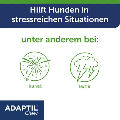 Adaptil Chew hilft Hunden in stressreichen Situationen, unter anderem bei Feuerwerk und Gewitter.