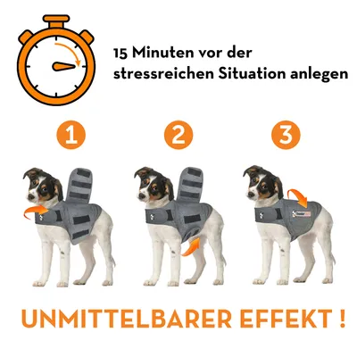 Anleitung zur Anwendung einer Hundeweste: 15 Minuten vor stressreichen Situationen anlegen. Schritt 1: Weste umlegen, Schritt 2: befestigen, Schritt 3: sichern. Unmittelbarer Effekt.