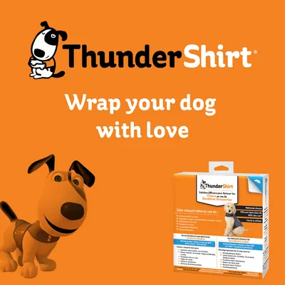 ThunderShirt. Produktverpackung und animierter Hund. Text: Wrap your dog with love. Lösung für stressige Situationen bei Hunden.