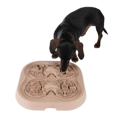 Hund nosar på beige aktivitetsbräda i plast med flera labyrintmönster för godis eller foder, fyrkantig form. Hunden är svartbrun och liten till storleken.