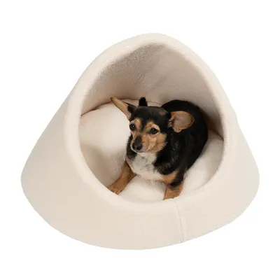 Kleiner Hund sitzt in einem cremefarbenen, kuscheligen Haustierbett mit Höhlenform.