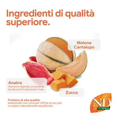 Componenti di alta qualità: melone cantalupo, anatra da allevamento italiano, zucca. N&D Pumpkin. Proteine di alta qualità per pasti equilibrati. Componenti di alta qualità: melone cantalupo, anatra da allevamento italiano, zucca. N&D Pumpkin. Proteine di alta qualità per pasti equilibrati.